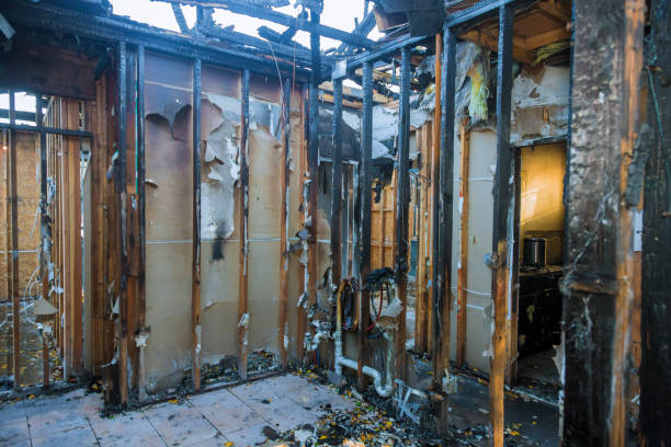 Professional Soot Cleanup technician working in Reform, AL